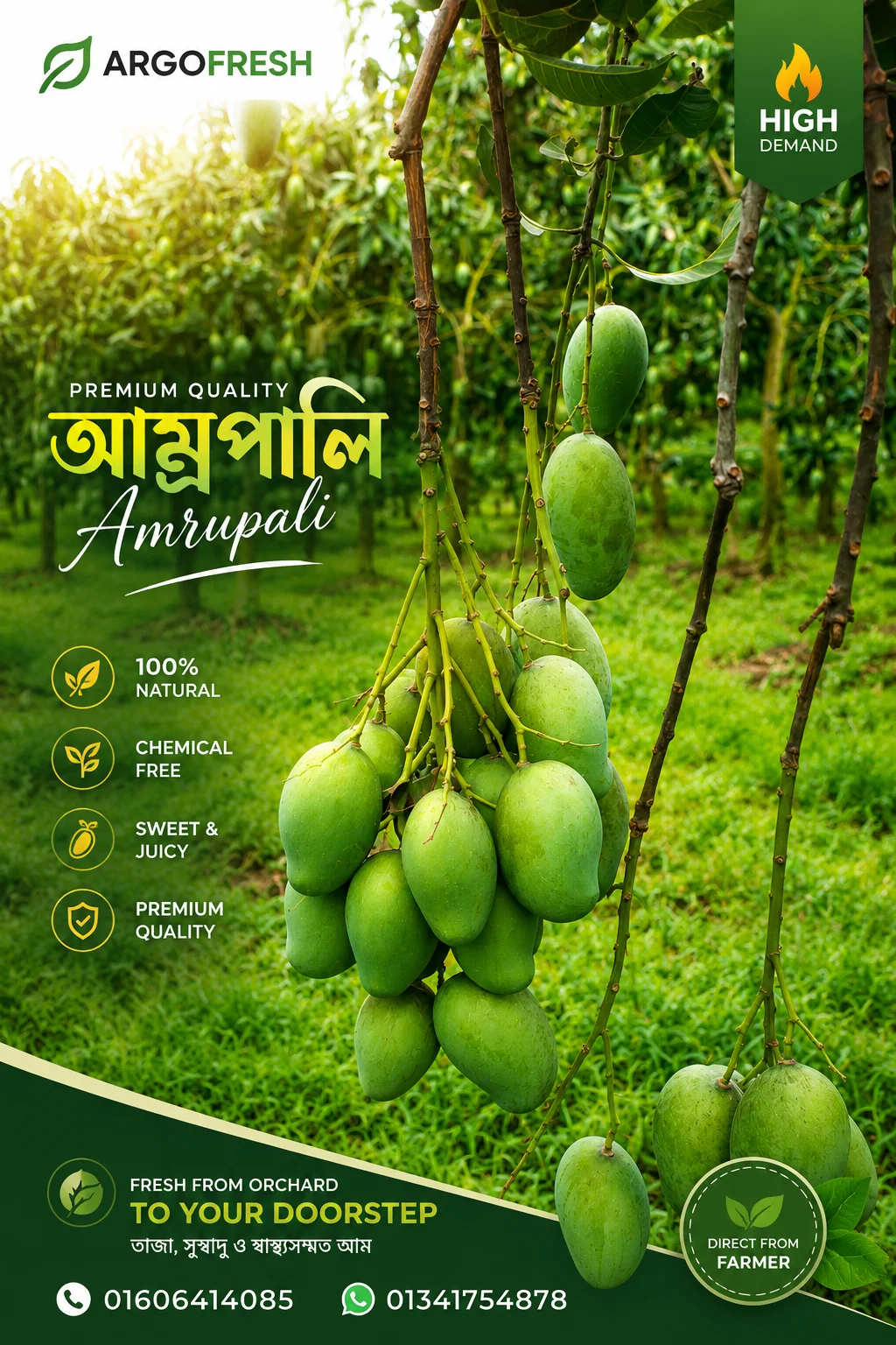 আম্রপালি  আম
