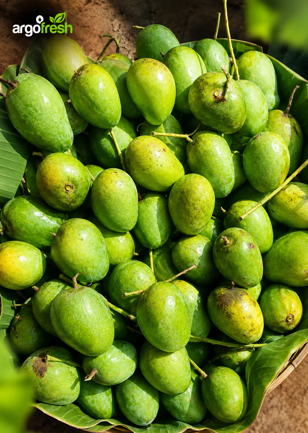 গোপালভোগ আম