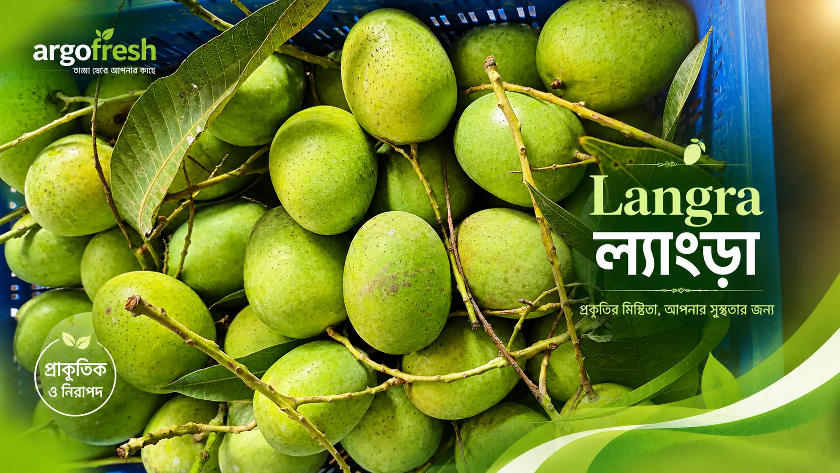 ল্যাংড়া আম