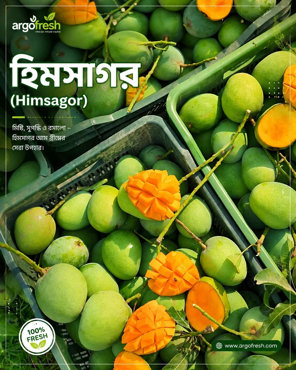 হিমসাগর আম